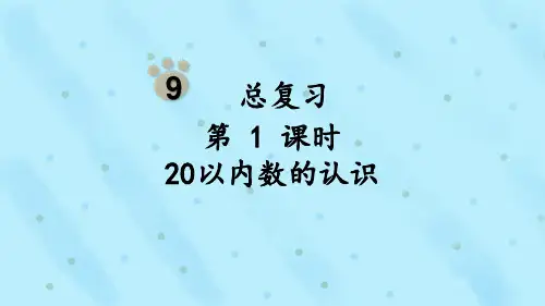 20以内数的认识(总复习)
