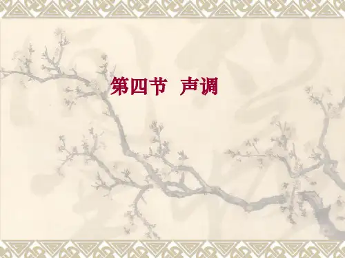 《现代汉语》课程授课PPT  第四、五节 声调和音节