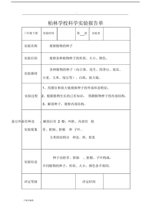 教科版三年级科学(下册)实验报告单(新).doc