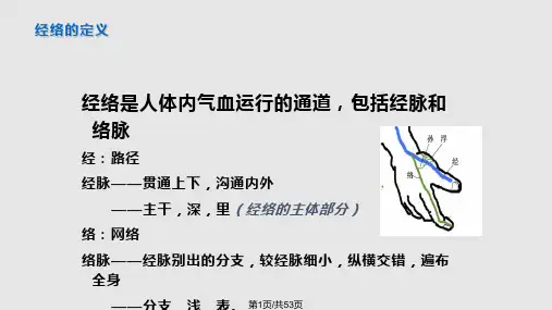 针灸学幻灯PPT课件