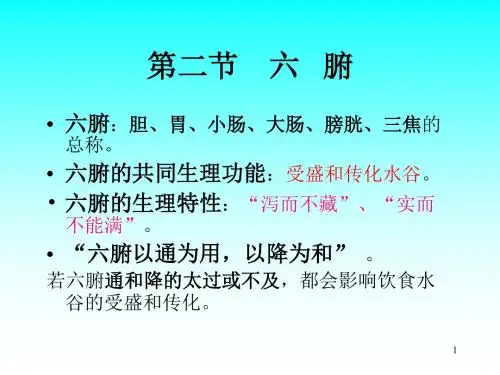 六腑课件