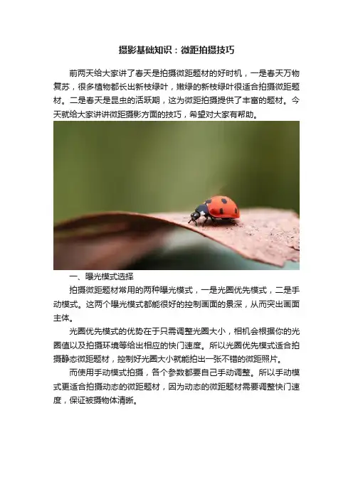 摄影基础知识:微距拍摄技巧