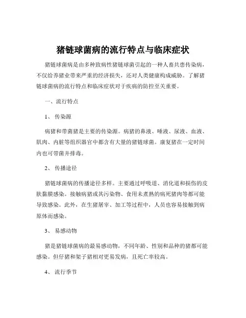 猪链球菌病的流行特点与临床症状