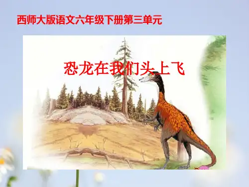 恐龙在我们头上飞PPT教学课件