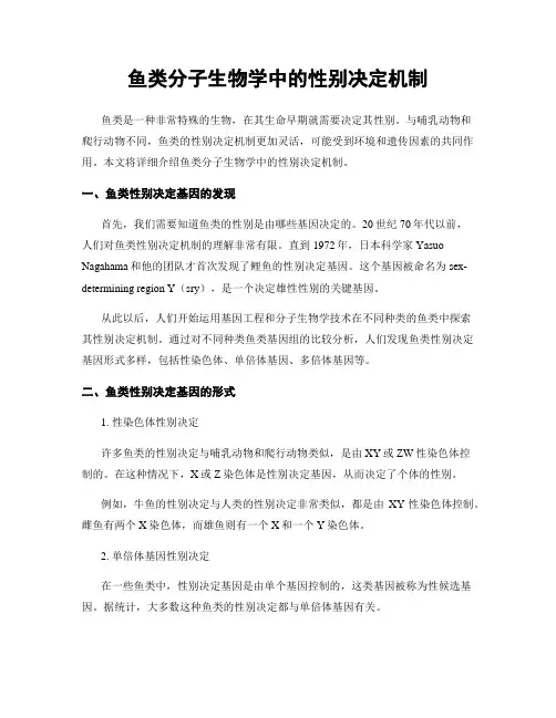 鱼类分子生物学中的性别决定机制