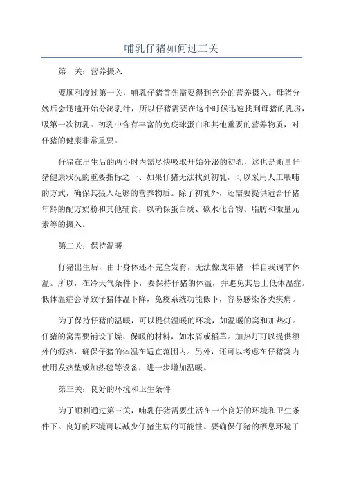 哺乳仔猪如何过三关