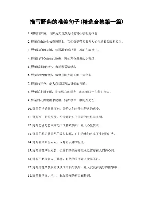 描写野菊的唯美句子(精选合集两篇)