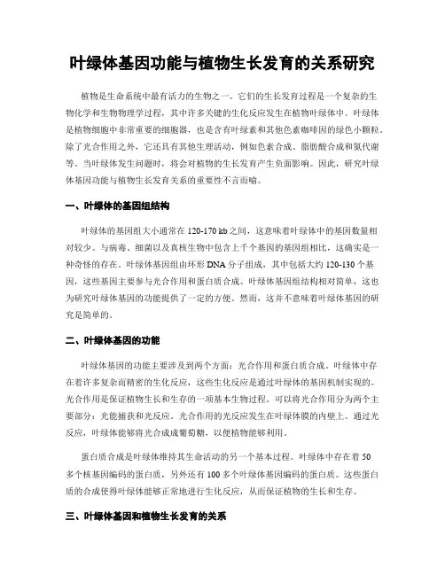 叶绿体基因功能与植物生长发育的关系研究