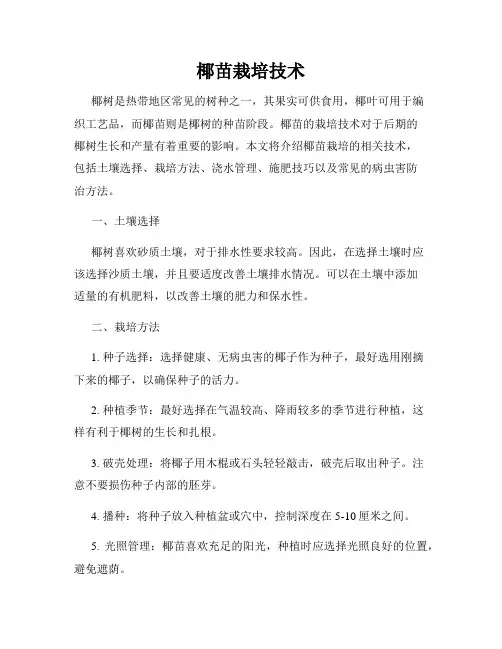 椰苗栽培技术