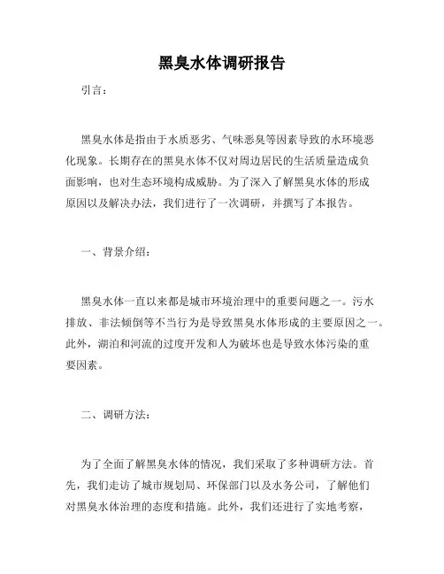 黑臭水体调研报告