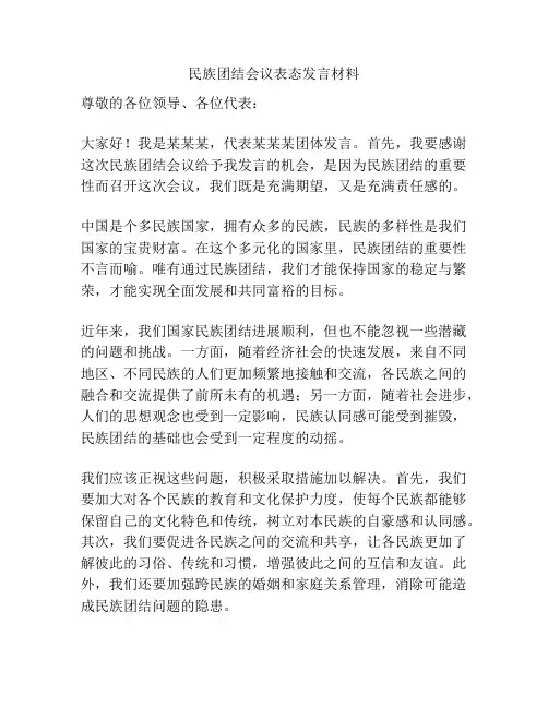 民族团结会议表态发言材料