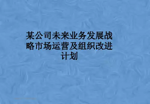 某公司未来业务发展战略市场运营及组织改进计划