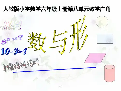 经典《数与形》说课ppt.ppt