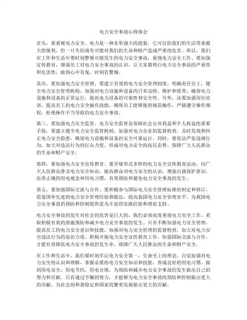 电力安全事故心得体会