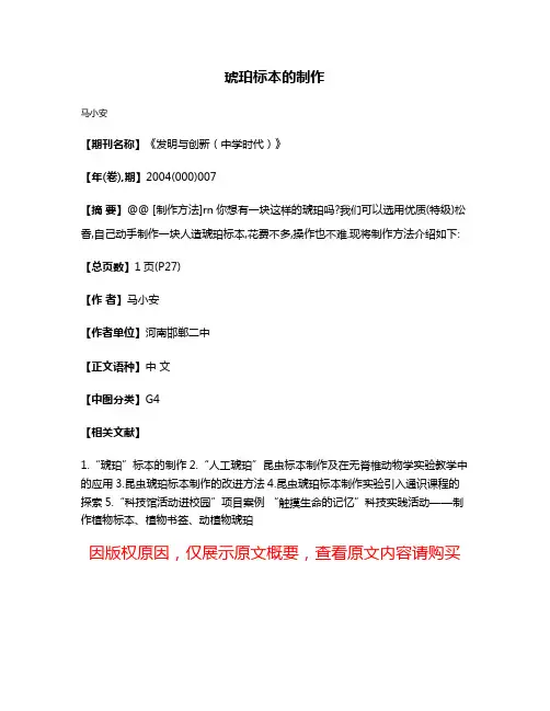 琥珀标本的制作