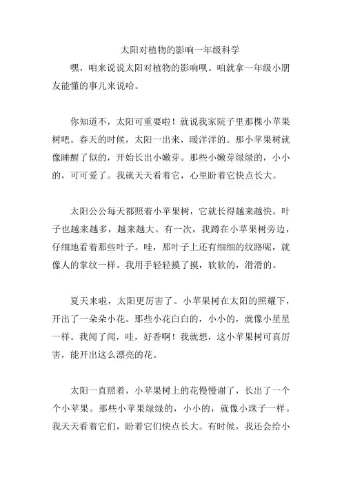 太阳对植物的影响一年级科学