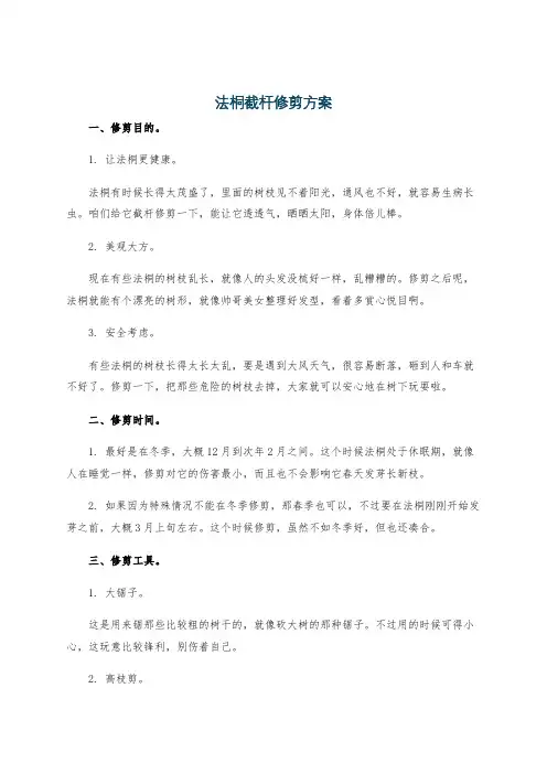 法桐截杆修剪方案
