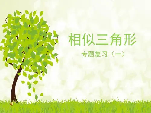 初中数学华东师大版九年级上册小结