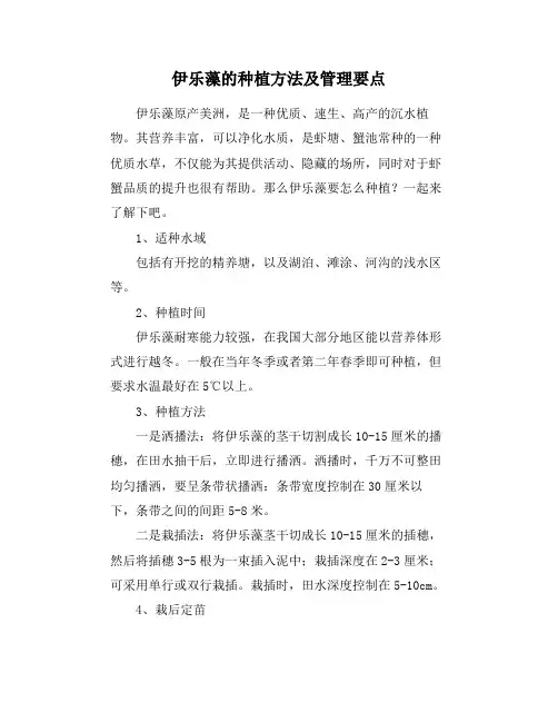 伊乐藻的种植方法及管理要点