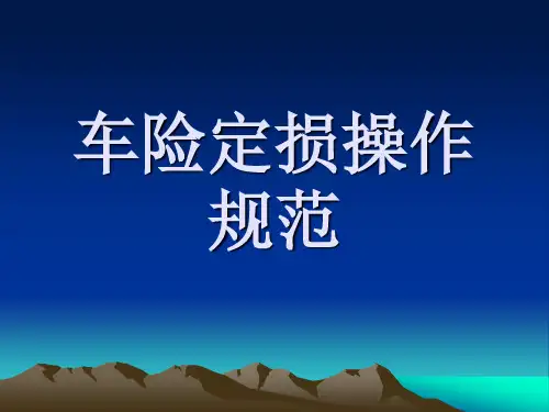 10-车险定损操作规范(精)