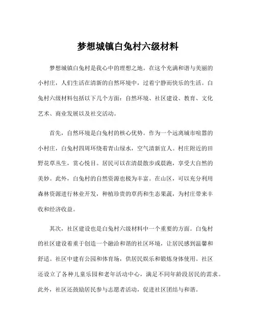 梦想城镇白兔村六级材料