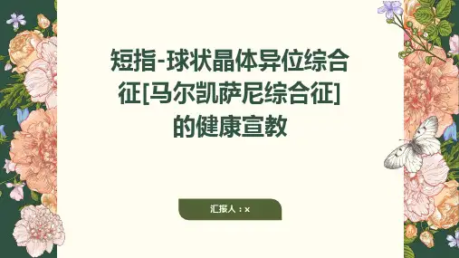 短指PPT课件