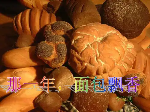 《那一年-面包飘香》