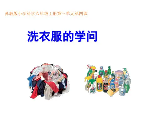 六年级上册科学课件-3.4 洗衣服的学问｜苏教版 (共10张PPT)(1)