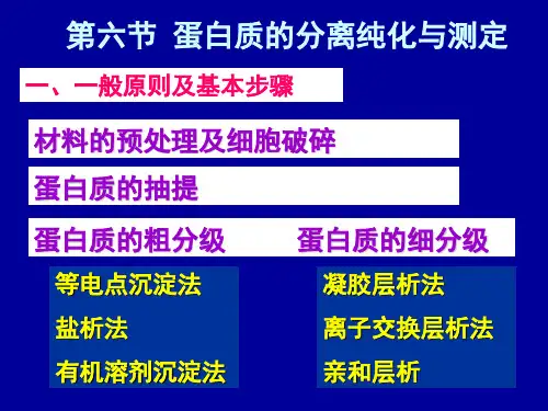 第四章蛋白质化学第六节蛋白质及氨基酸分离纯化与测定