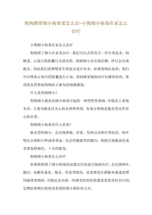 狗狗携带细小病毒要怎么治-小狗细小病毒在家怎么治疗