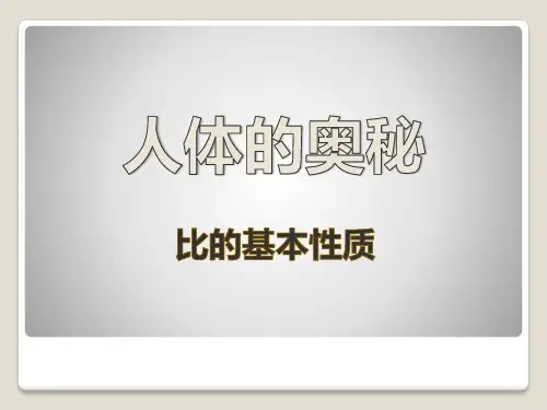 《人体的奥秘》数学教学PPT课件(4篇)