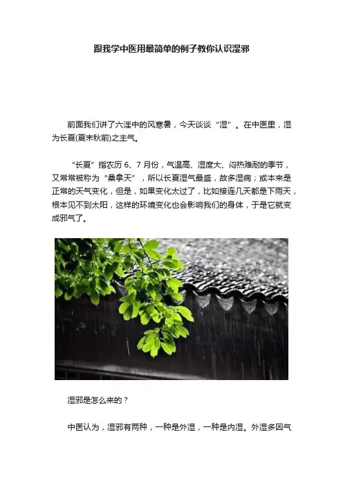 跟我学中医用最简单的例子教你认识湿邪