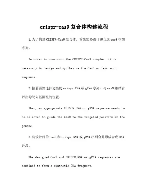 crispr-cas9复合体构建流程