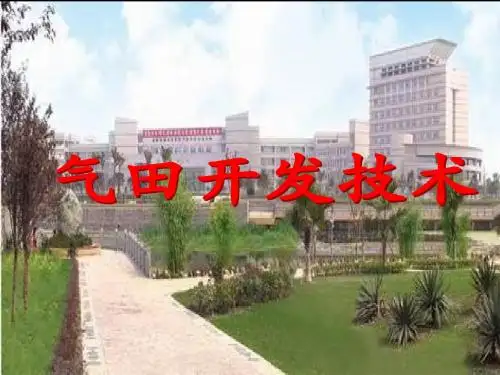 气田开发技术