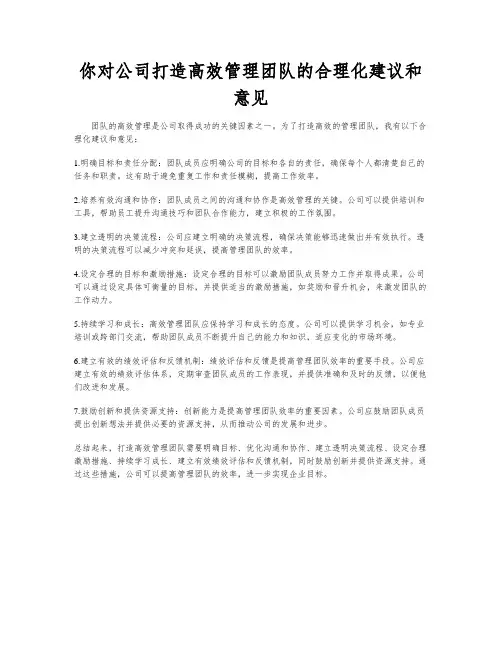 你对公司打造高效管理团队的合理化建议和意见