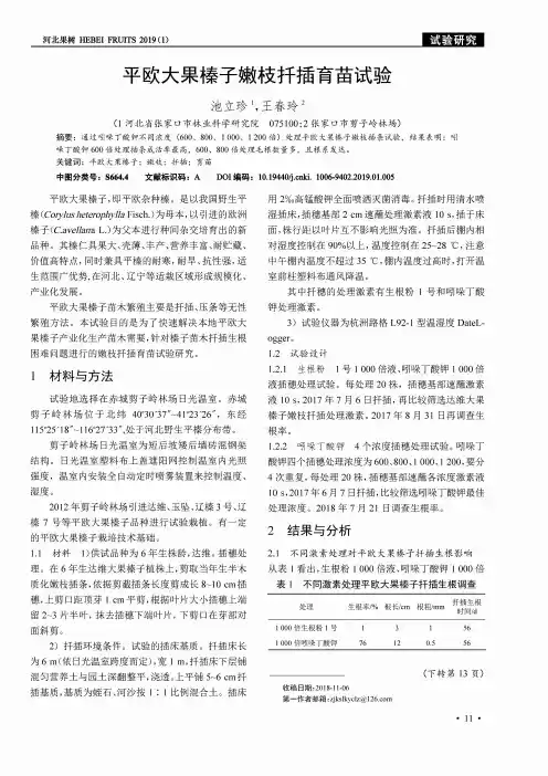 平欧大果榛子嫩枝扦插育苗试验