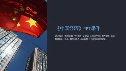 《中国经济》课件2