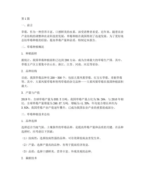 草莓种植总结报告范文(3篇)