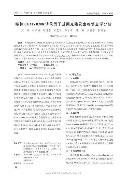 猴樟CbMYB308转录因子基因克隆及生物信息学分析