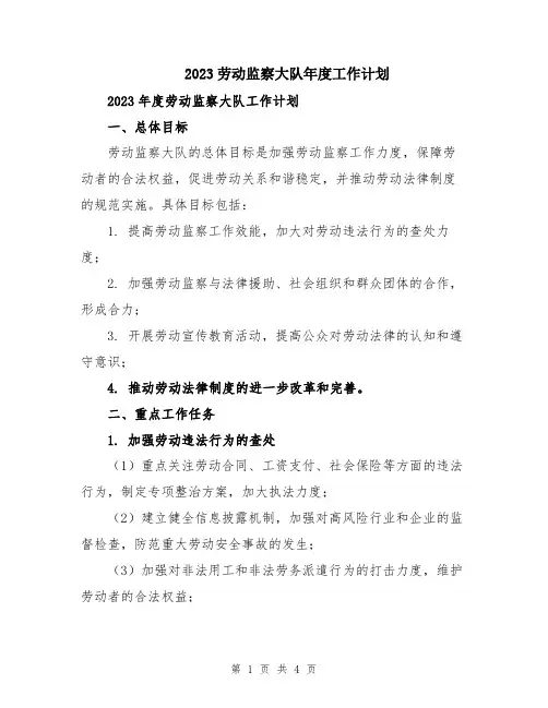 2023劳动监察大队年度工作计划