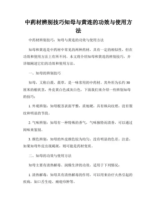 中药材辨别技巧知母与黄连的功效与使用方法