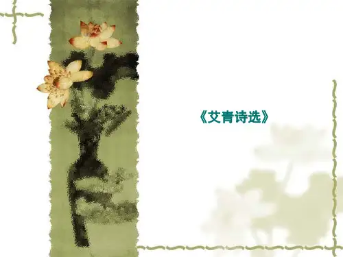 中考名著导读：《艾青诗选》