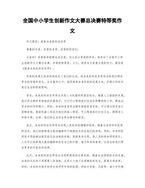 全国中小学生创新作文大赛总决赛特等奖作文