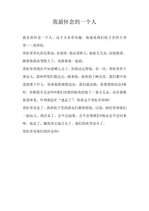 小学写人我最怀念的一个人