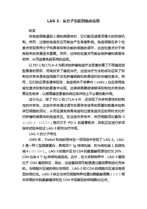 LAG-3：从分子功能到临床应用