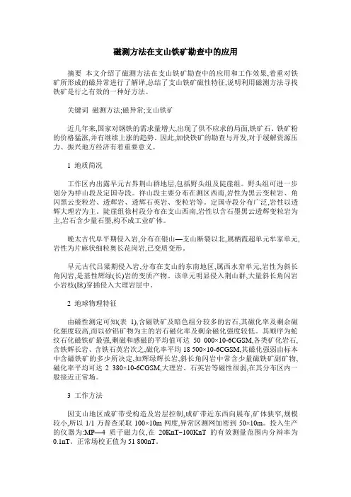 磁测方法在支山铁矿勘查中的应用