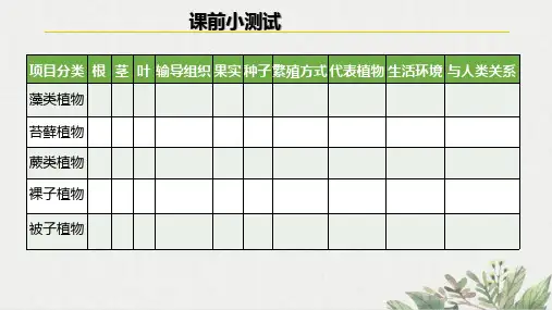 绿色植物的蒸腾作用第一课时课件济南版生物七年级上册