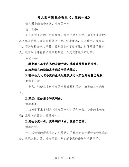 幼儿园中班社会教案《小麦的一生》（二篇）