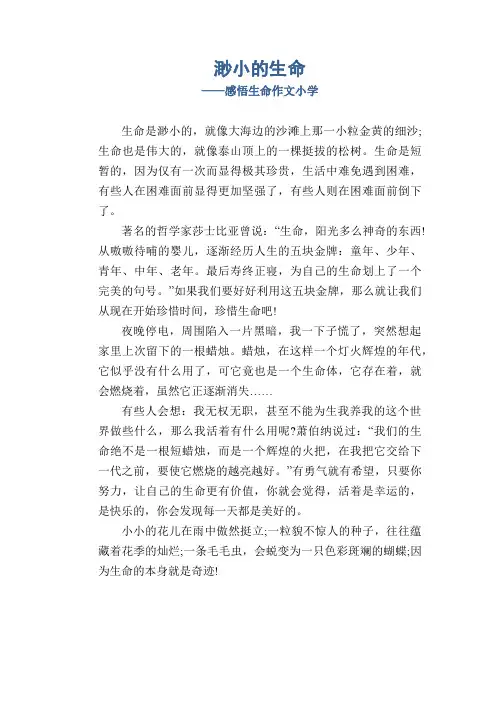 小学四年级习作精选范例：渺小的生命_感悟生命作文小学