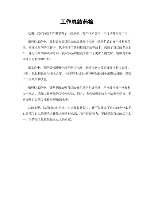 工作总结药检